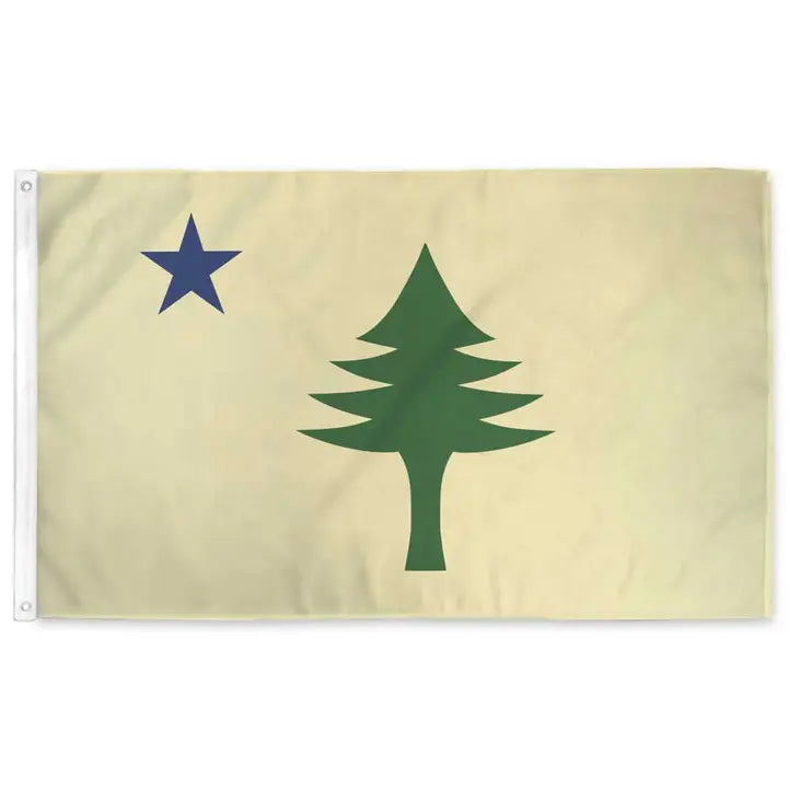 Maine 1901 - Flag
