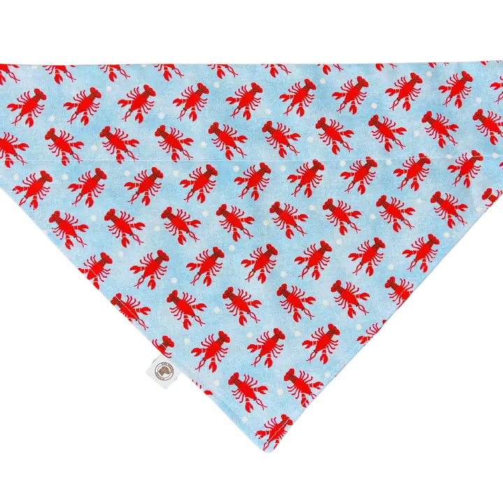 The Maine Pooch - Lobster