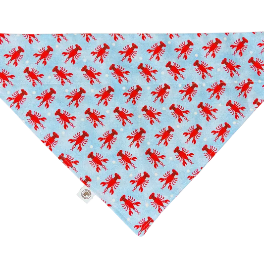 The Maine Pooch - Lobster