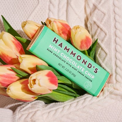 Hammond's Candies | Dark Chocolate Candy Bar | Mint Chocolate Chip - 2.25 oz
