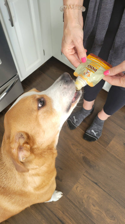 Poochie Butter - Pumpkin Peanut Butter Squeeze Pack 2oz