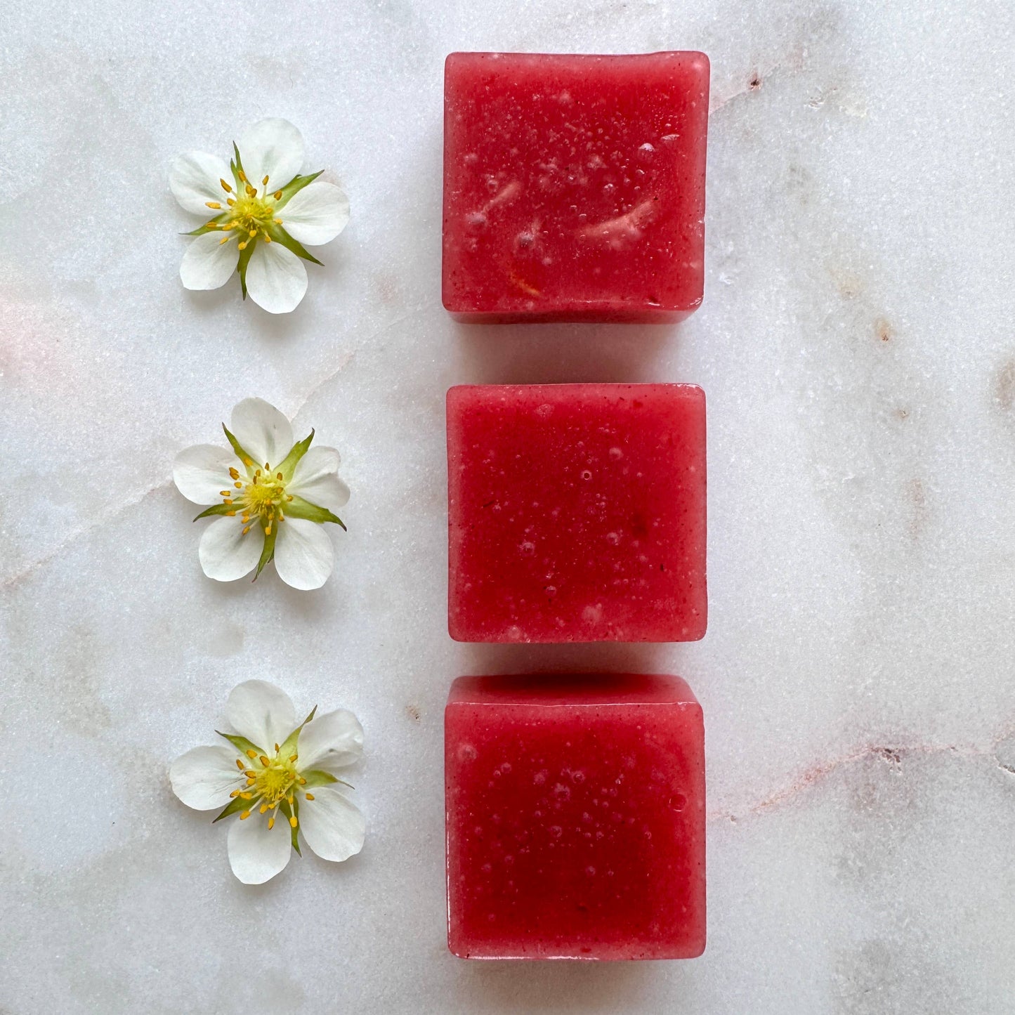 Virgo Moon - Strawberry Hibiscus Rose Fruit Chews